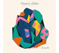 B. Visible - Pleasant Clutter