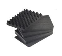 B&W International SI/1000 - Inserto in spugna per Outdoor Case Tipo 1000