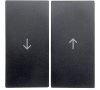 B.X MODULO ANTRACITE TASTO TAPPARELLA 2X B.QUADRATO 16251606