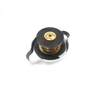 B005372 TAPPO VALVOLA RADIATORE PORTER