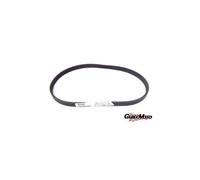 B010235 CINGHIA POMPA ACQUA APE PORTER MULTITECH PIAGGIO