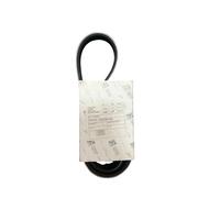 B010235-CINGHIA POMPA ACQUA ORIGINALE PIAGGIO PORTER MULTITECH EURO 5 2010-2015