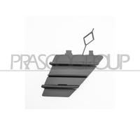 (B07MGHWHC5) nel nostro catalogo. Modifica l'attributo del prodotto in Prasco MODANATURA GRIGLIA RADIATORE CROMATA