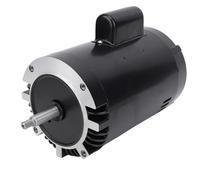 B127 Polpa Polca Polcio, 3/4 Cavalli di Potenza 3450 Giri/min Motore di Pompa a velocità Singola, 1 Fattore di Servizio, Sostituzione della Piscina e Centro Spa.