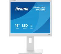 iiyama Monitor desktop, B1980S-W1-19, TN, 1280x1024/75Hz, 1H1DP, HAS