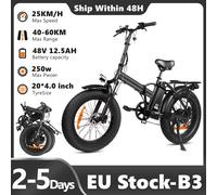 B3 Bici elettrica pieghevole 20 pollici Fat Bike 48V12.5Ah Batteria al litio 4.0 ''Pneumatico Mountain Ebike 250W MTB Urban E-Bike per adulti grey