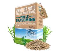 B4GREEN Semi Prato Crescita Rapida per Trasemina E Risemina 40M²1Kg - Loietto Pe