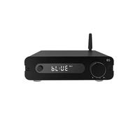 B5 100Wx2 Audiophile Class D Digital Amplifier ESS9018K2M Home Power Amplifier 192K/32Bit US Plug