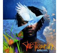the traveller