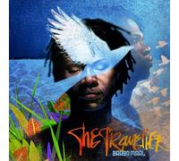 the traveller