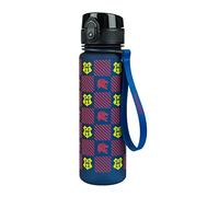 Baagl Borraccia per bambini, a prova di perdite, 500 ml, per la scuola e lo sport, per ragazzi e ragazze Tritan (Grifondor)