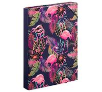 Baagl Cartellina portadocumenti per la scuola, formato A4, per bambini, con elastico e alette interne, raccoglitore con elastico, per ragazzi (fenicottero)