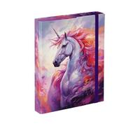 Baagl Cartellina portadocumenti per la scuola, formato A5, per bambini, con elastico e alette interne, raccoglitore con elastico, per ragazzi (Wild Unicorn)