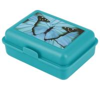 Baagl Contenitore per il pranzo per bambini per la scuola - Contenitore per il pranzo per ragazze, ragazzi, asilo - Contenitore per il pranzo, scatola per il pane, snack (Butterfly)