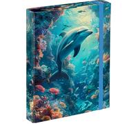 Baagl Scatola per quaderni per la scuola, cartella A5 per bambini, con elastico e alette interne, cartella da collezione con elastico per ragazzi e ragazze (delfino)