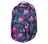 Baagl Zaino ergonomico grande con scomparto termico per donne, uomini, adolescenti, con scomparto per laptop, zaino per studenti, zaino per scuola, 35 l, paradise