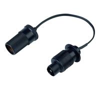 BAAS BS22 Spina Plastica