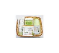 Cesta Aloe Vera 225 Ml