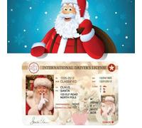 Babbo Natale perso patente di guida decorazioni natalizie, novità slitta di Babbo Natale volante carta d'identità, carta ornamento di Natale licenza di Natale, licenza di volo di Babbo Natale, regalo