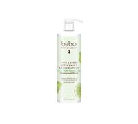 BABO BOTANICALS Swim & Sport Citrus Mint & Passion Fruit Shampoo & Wash - Detergente purificante per capelli e corpo - Rimuove cloro e sudore - P