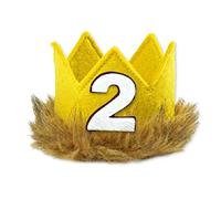 Baby 1/2th 1th 2th Birthday Hat Wild Crown Where The Wild Things Are Theme Birthday Party Photo Booth Puntelli