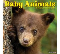 Baby Animals 2026 12 X 12 Wall Calendar
