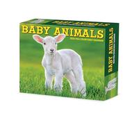Baby Animals 2026 5.4 X 6.2 Box Calendar