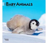 Baby Animals 2027 7 X 14 Inch (Hanging) Monthly Mini Wall Calendar