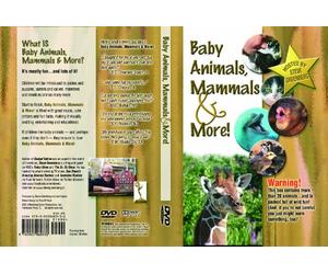 Baby Animals Mammals and More DVD