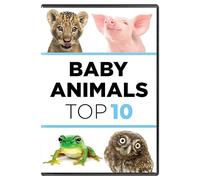 Baby Animals: The Top Ten