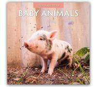 Baby Animals - Tierkinder - Tierbabys 2026 - 16-Monatskalender: Original Red Robin Publishing Ltd-Kalender [Mehrsprachig] [Kalender]