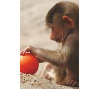 Baby Baboon Playing With A Ball Journal: Let This Notebook With Our Adorable Infant Primate Comfort You