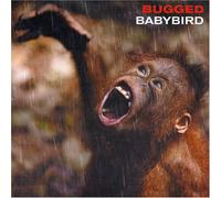 Baby Bird - Bugged