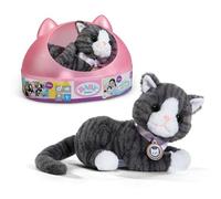 BABY born Cookie Gatto con Scatola, 837580