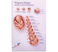 Baby Bump Poster