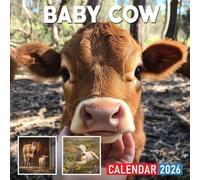 Baby Cow Calendar 2026: A heartwarming year with the gentle and curious nature of baby cows