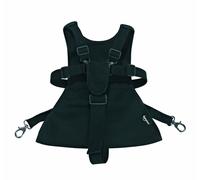 Baby Dan 3020-11-85 Safety Belt for Pram/Harness Black 6-36 Months