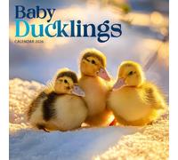 baby Ducklings Calendar 2026: Adorable Photography of Baby Ducks in Nature & Farm Settings
