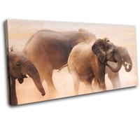 Baby Elephant Wild African Zoo Animals SINGLE TELA parete arte foto stampa