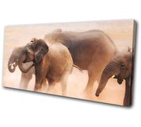 Baby Elephant Wild African Zoo Animals SINGLE TELA parete arte foto stampa