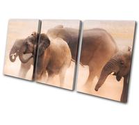 Baby Elephant Wild African Zoo Animals TREBLE TELA parete arte foto stampa