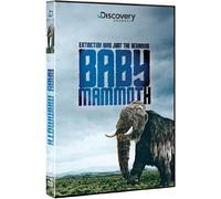 Baby Mammoth: Raising the Mammoth