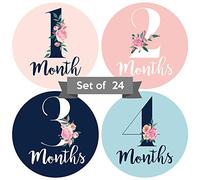 Baby Mensile Adesivi | Floreale Baby Milestone Stickers | Adesivi per neonata | Mese Adesivi per neonata | Adesivi per neonata | Set di 24