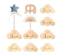 Baby Milestonee Cards | Carte fotografiche in legno | Dischi segnapunti mensili | Multifunzionale squisito per la festa dei bambini, annuncio del bambino, momento, newborrn per bambini