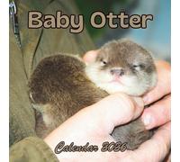 Baby Otter Calendar 2026: 12 Months Organizer From January to December