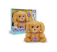 Baby Paws Love & Care