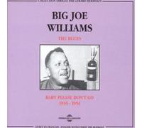 Baby Please Don'T Go - Big Joe Williams (Audio cd)