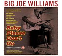 Big Joe Williams Baby Please Don't Go: The Collection 1935-1962 (CD) Album