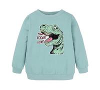 Baby Pullover 56 Giovani Ragazzi Ragazzi Ragazze Bambini Unisex Cartoon Animali Dinosauri Stampato Felpa Felpa Felpa con Cappuccio Per Ragazze Ragazzi Con Fori Ragazzi, Verde chiaro, 1-2 Anni