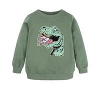 Baby Pullover 56 Giovani Ragazzi Ragazzi Ragazze Bambini Unisex Cartoon Animali Dinosauri Stampato Felpa Felpa Felpa con Cappuccio Per Ragazze Ragazzi Con Fori Ragazzi, verde, 1-2 Anni